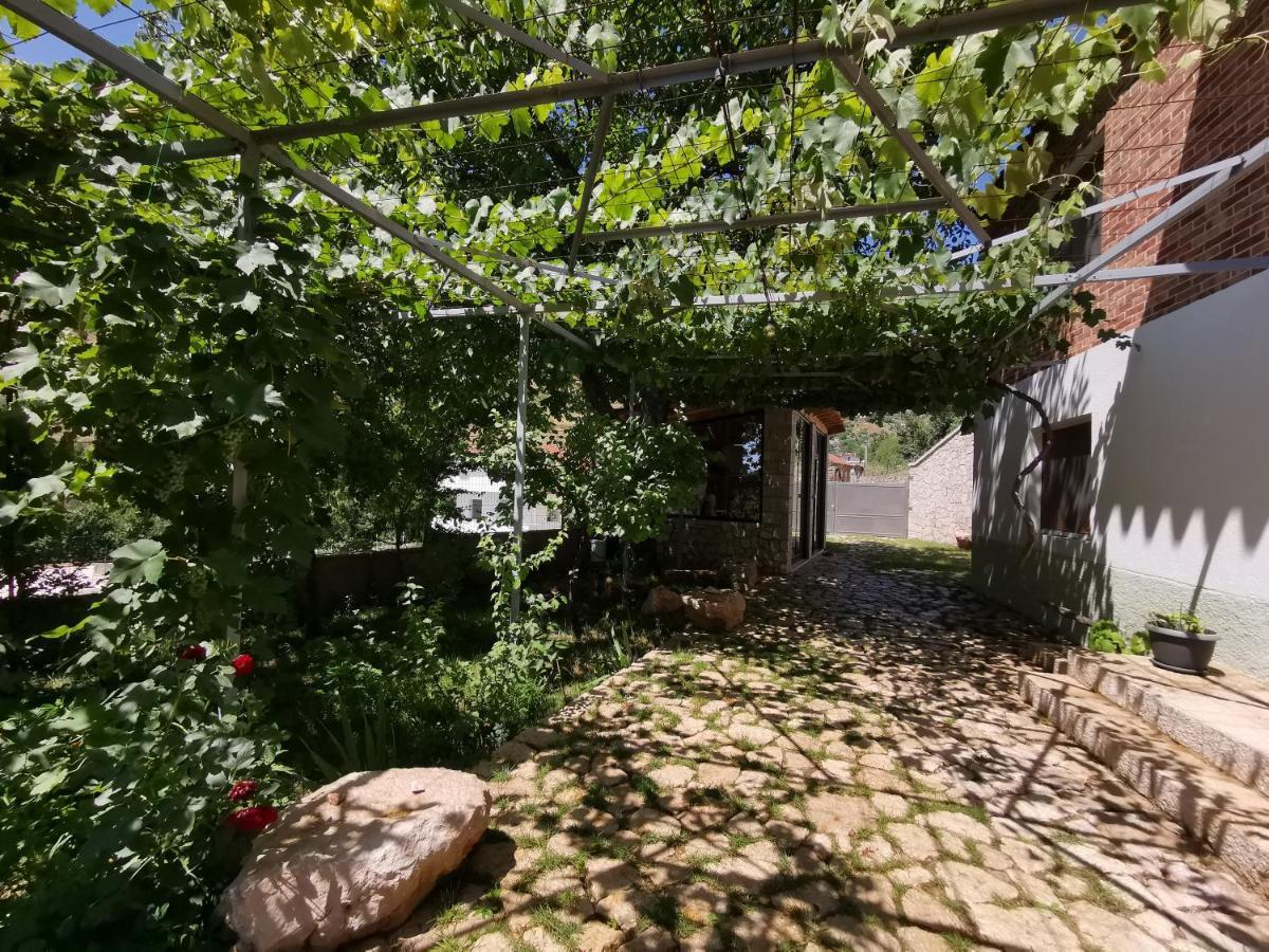 Vila Rira - Rrajce, Shebenik Perrenjas Esterno foto