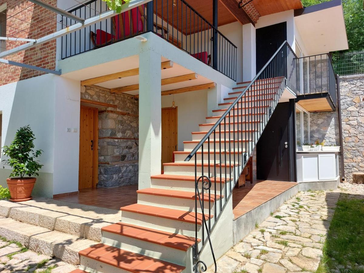 Vila Rira - Rrajce, Shebenik Perrenjas Esterno foto